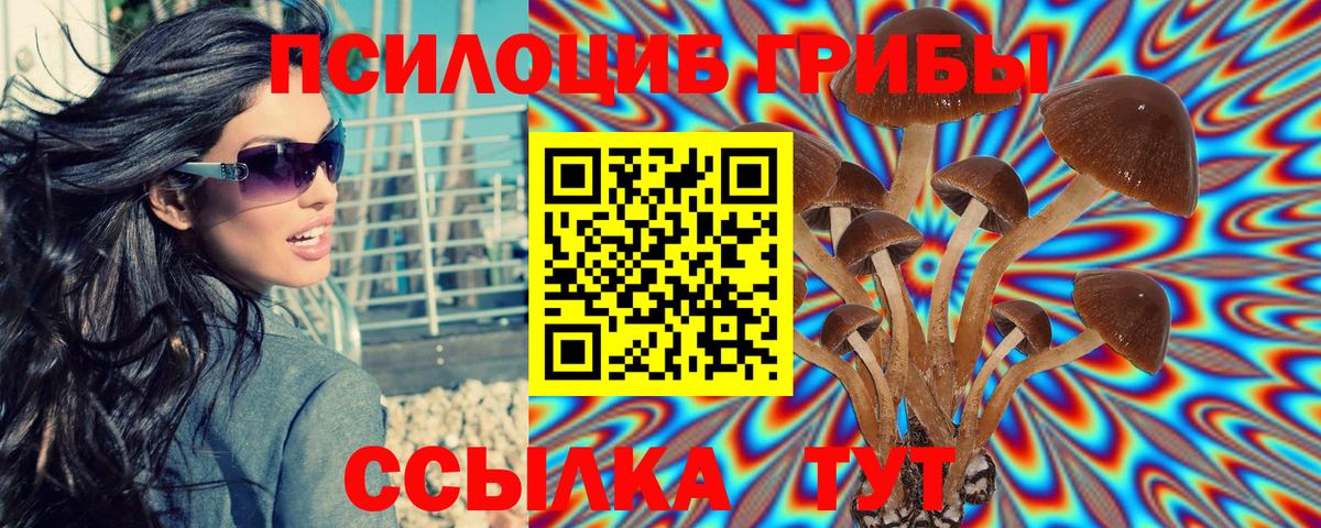 Псилоцибиновые грибы мухоморы Артёмовский