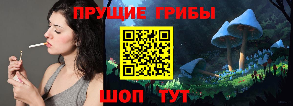 Артёмовский  Галлюциногенные грибы прущие грибы  Вход с VPN  Псилоцибиновые грибы мухоморы 